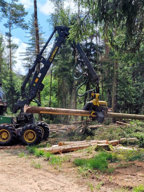 Maschine beim Zerkleinern von Baumstämmen im Wald